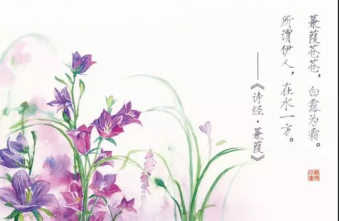 诗经里清新淡雅唯美的句子