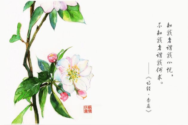 诗经里清新淡雅唯美的句子