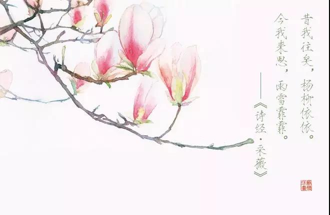 诗经里清新淡雅唯美的句子
