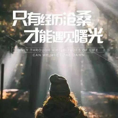 人生感悟正能量短句