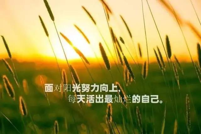 人生感悟正能量短句