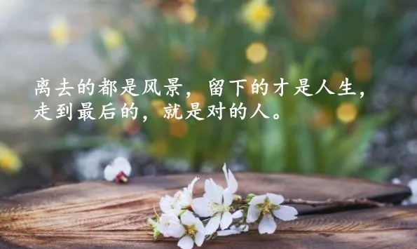 最新感悟人生的心情说说 朋友圈穿透心灵的句子