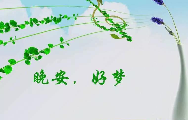 每日晚安句子经典语句 心路一通万路皆通晚安