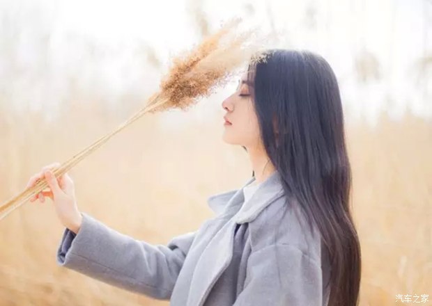 人生感悟洒脱的句子