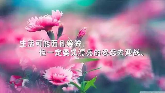 心灵鸡汤经典语录