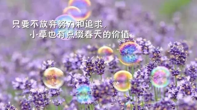 心灵鸡汤经典语录