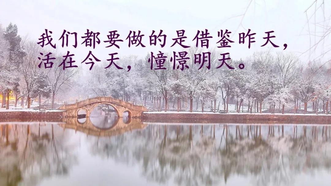生活感悟经典句子