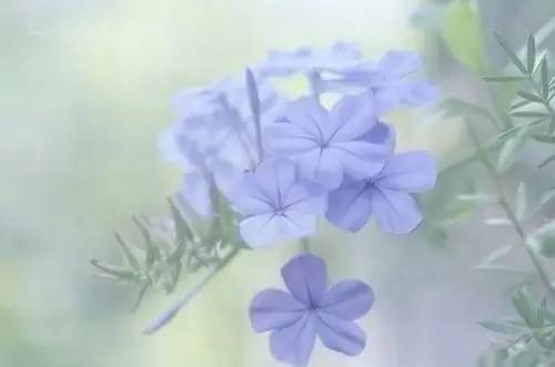 影响你一生的经典人生感悟