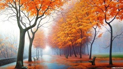 无奈人生感悟句子简短