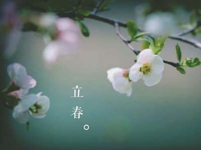 立春早安励志语录