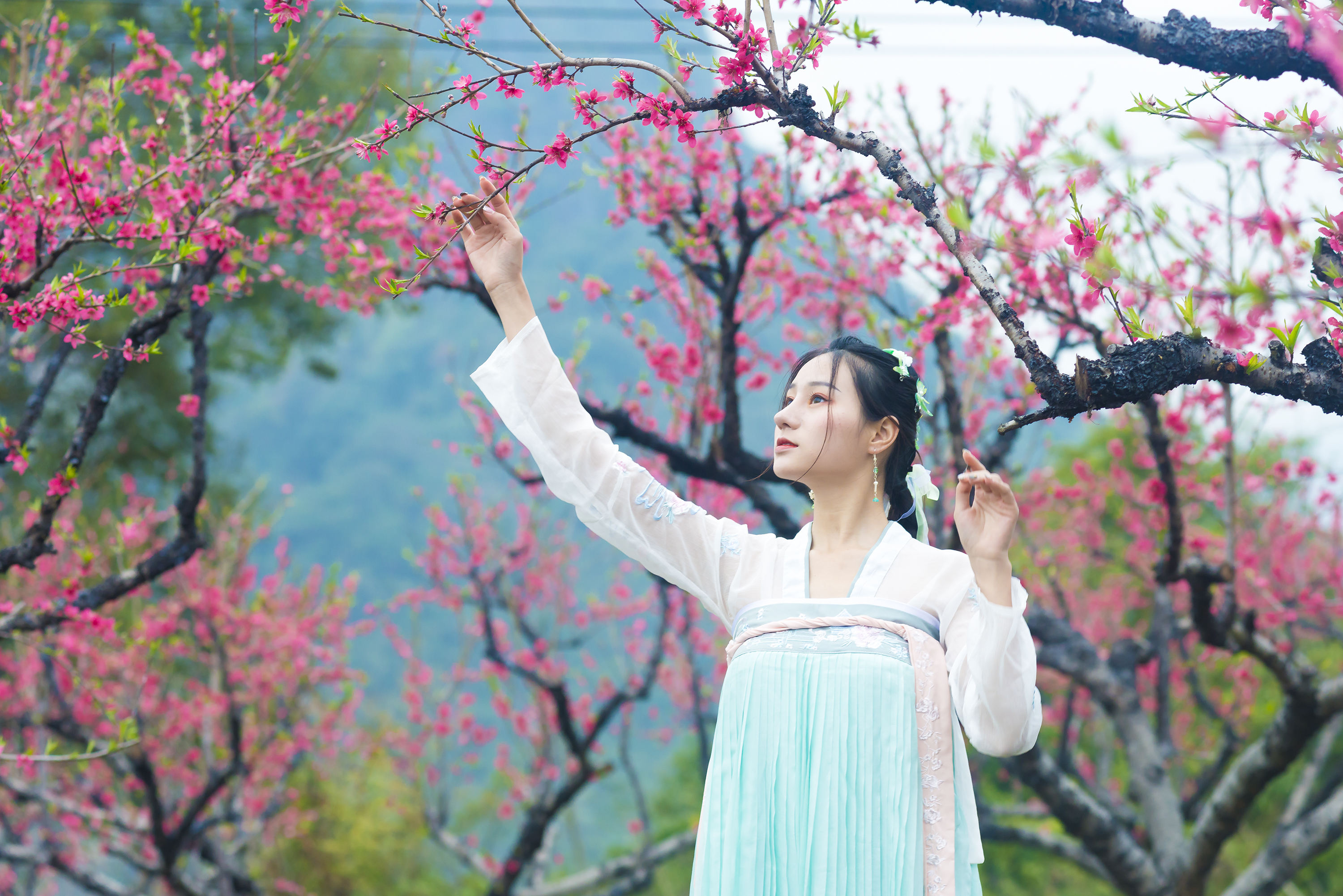 春天关于带桃花的词句
