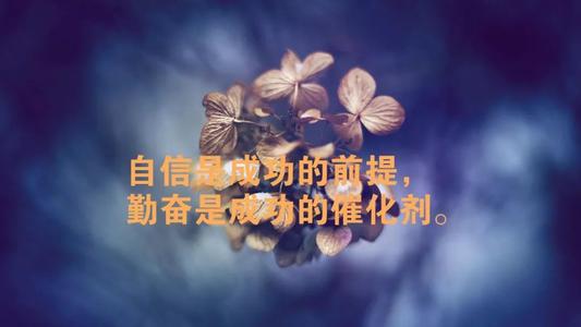 教学名言名句大全人生哲理