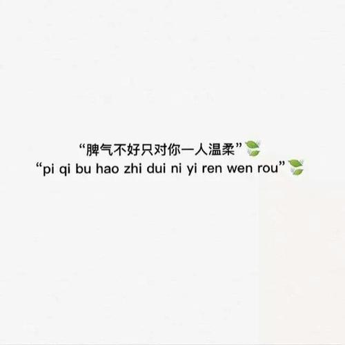 超级温柔的神仙句子古风