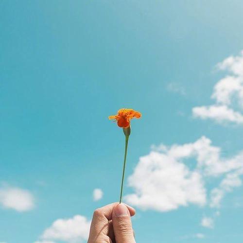成年励志语录经典短句