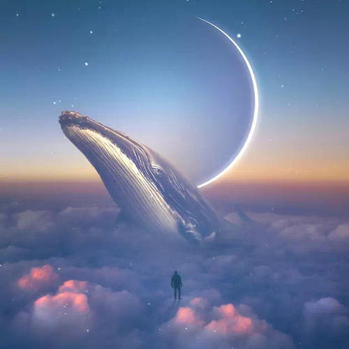 做人的道理朋友圈说说