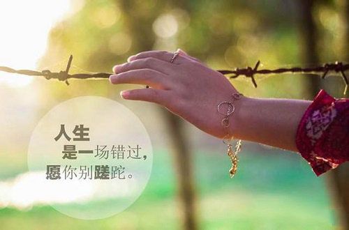 一个人最好的修养，经典好文