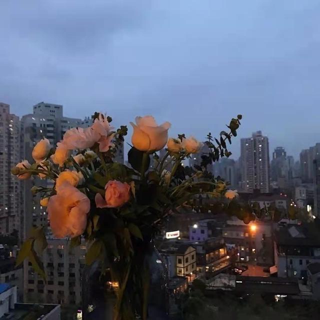 背叛自己的情感文案(关于爱情背叛的文案)