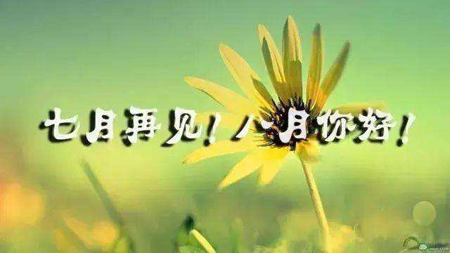 七月再见八月份你好的情感文案