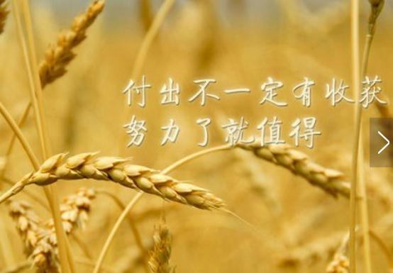 心灵鸡汤工作励志语录，早安励志语录正能量，正能量激励人的好句子