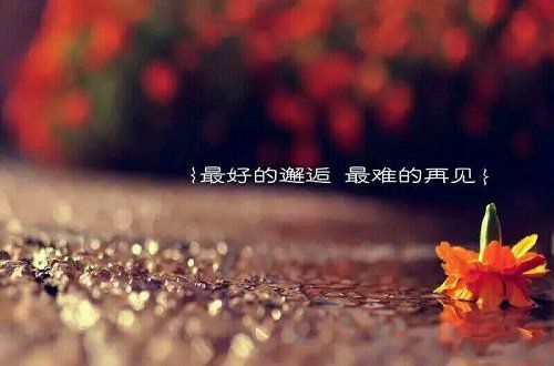 最默契的事