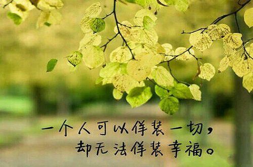 相知便是永远