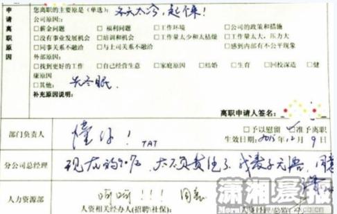 年薪10万工程师辞职回乡养豪猪，女生奇葩辞职信需要冬眠