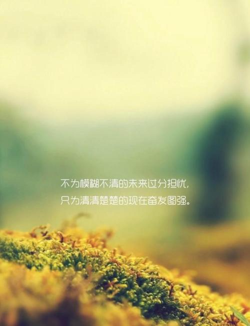 现代名句摘抄大全集