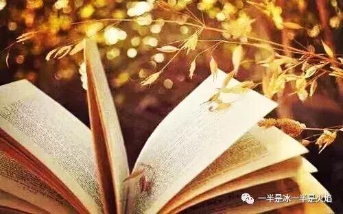 阳光明媚心情好的唯美句子、图片