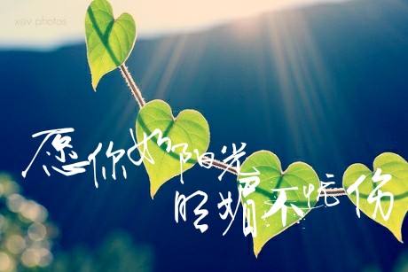 阳光明媚心情好的唯美句子、图片