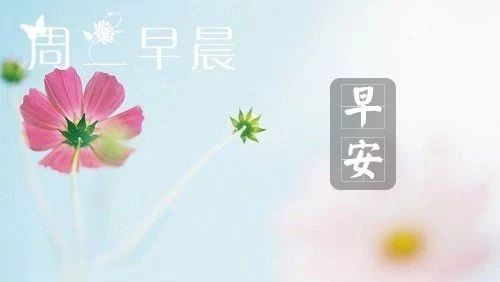 周二早安心语简短 周二工作正能量句子