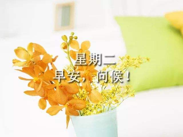 周二早安心语简短 周二工作正能量句子