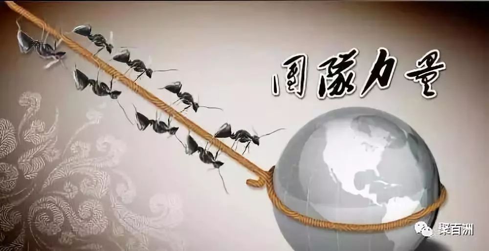 团队精神正能量的句子