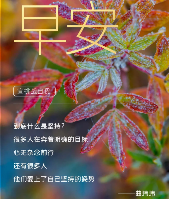 早安心语图片