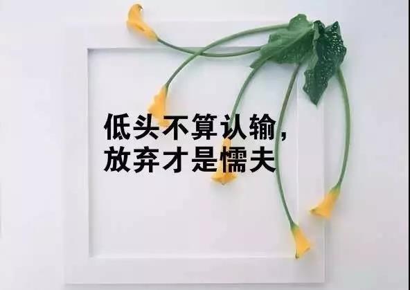 关于成功的句子