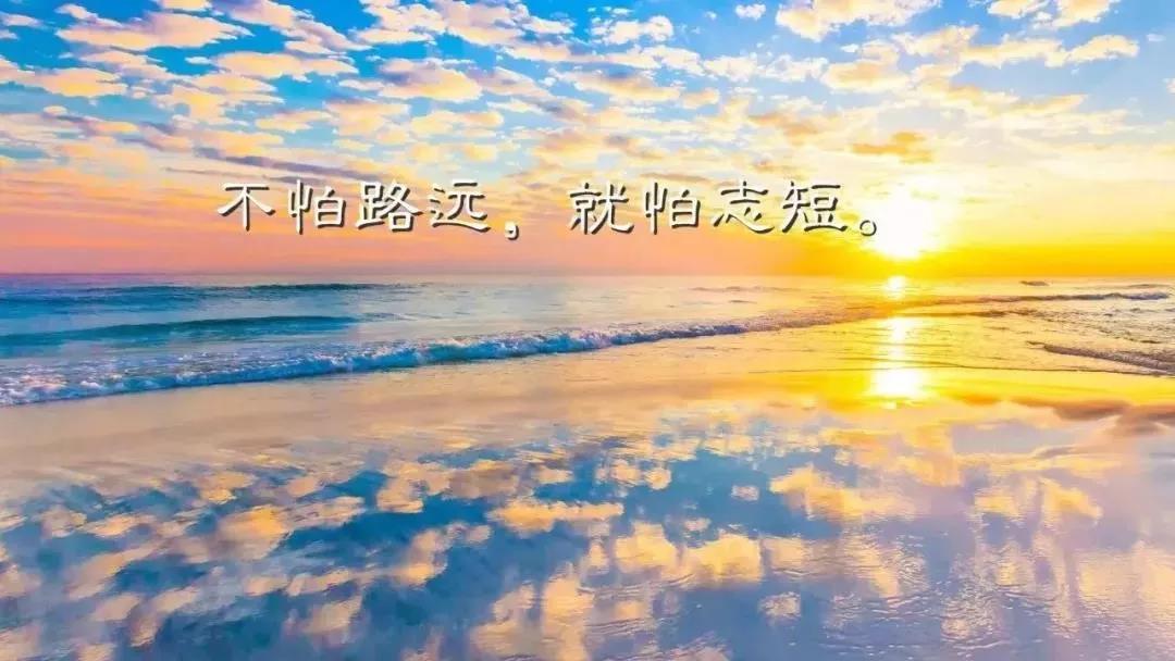 关于成功的句子