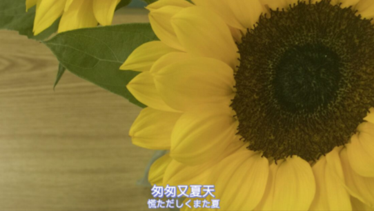 热爱工作的正能量句子   工作心态的励志句子