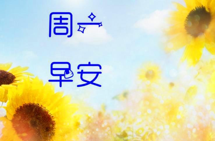 周一早安心语正能量一句话