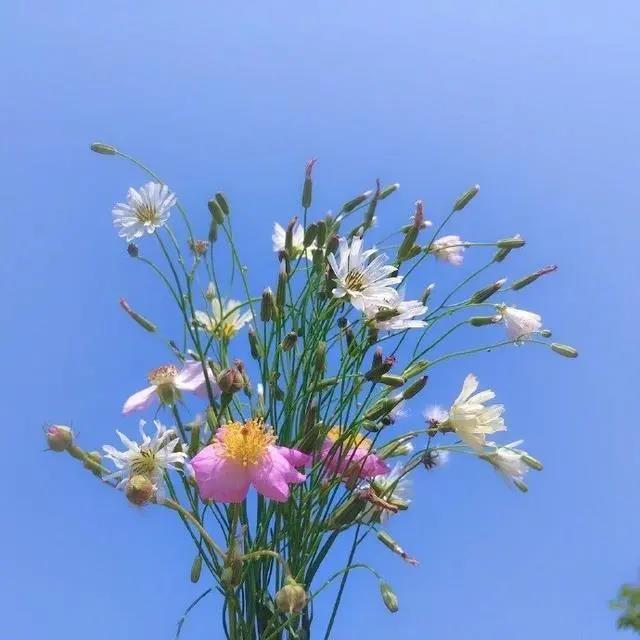 未来可期的正能量句子，