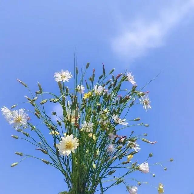未来可期的正能量句子，