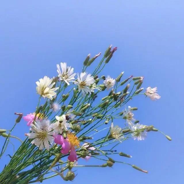 未来可期的正能量句子，