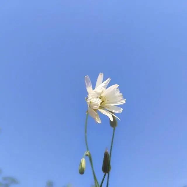 最新青春励志语录
