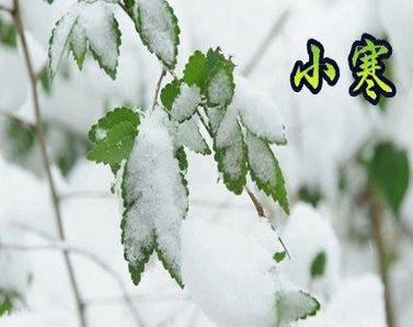 2021小寒说说大全 小寒早安问候语说说27句