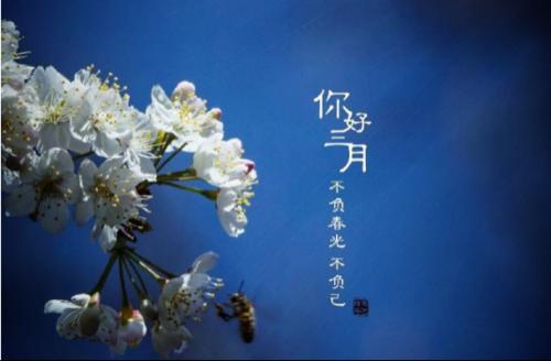 三月你好的心情说说21句