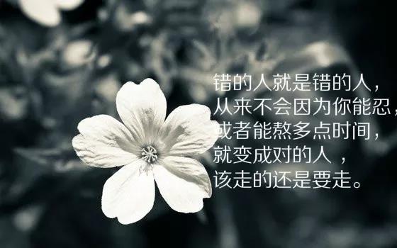 十二月发朋友圈的句子 正能量