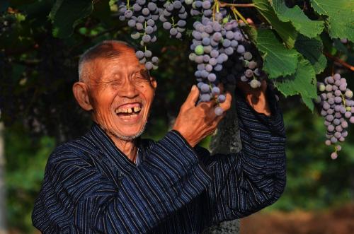 开心幽默正能量的句子