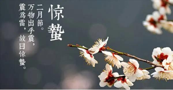 今日惊蛰朋友圈说说