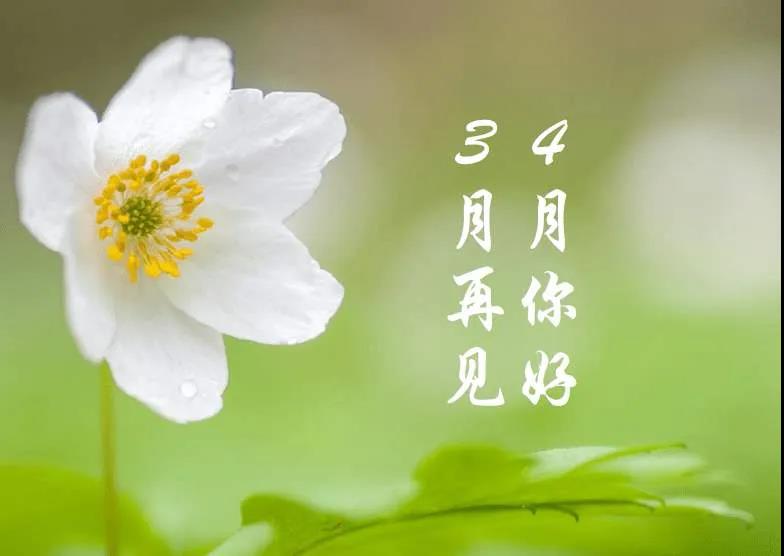 三月再见四月你好的经典句子