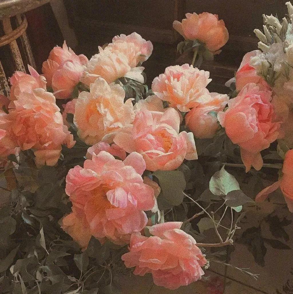 歌词文案
