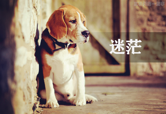 在看不到意义的时候寻求人生的意义