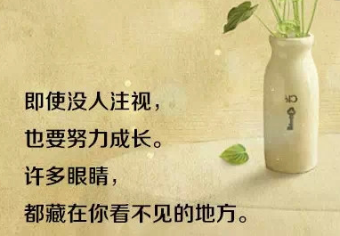 奋斗目标短语